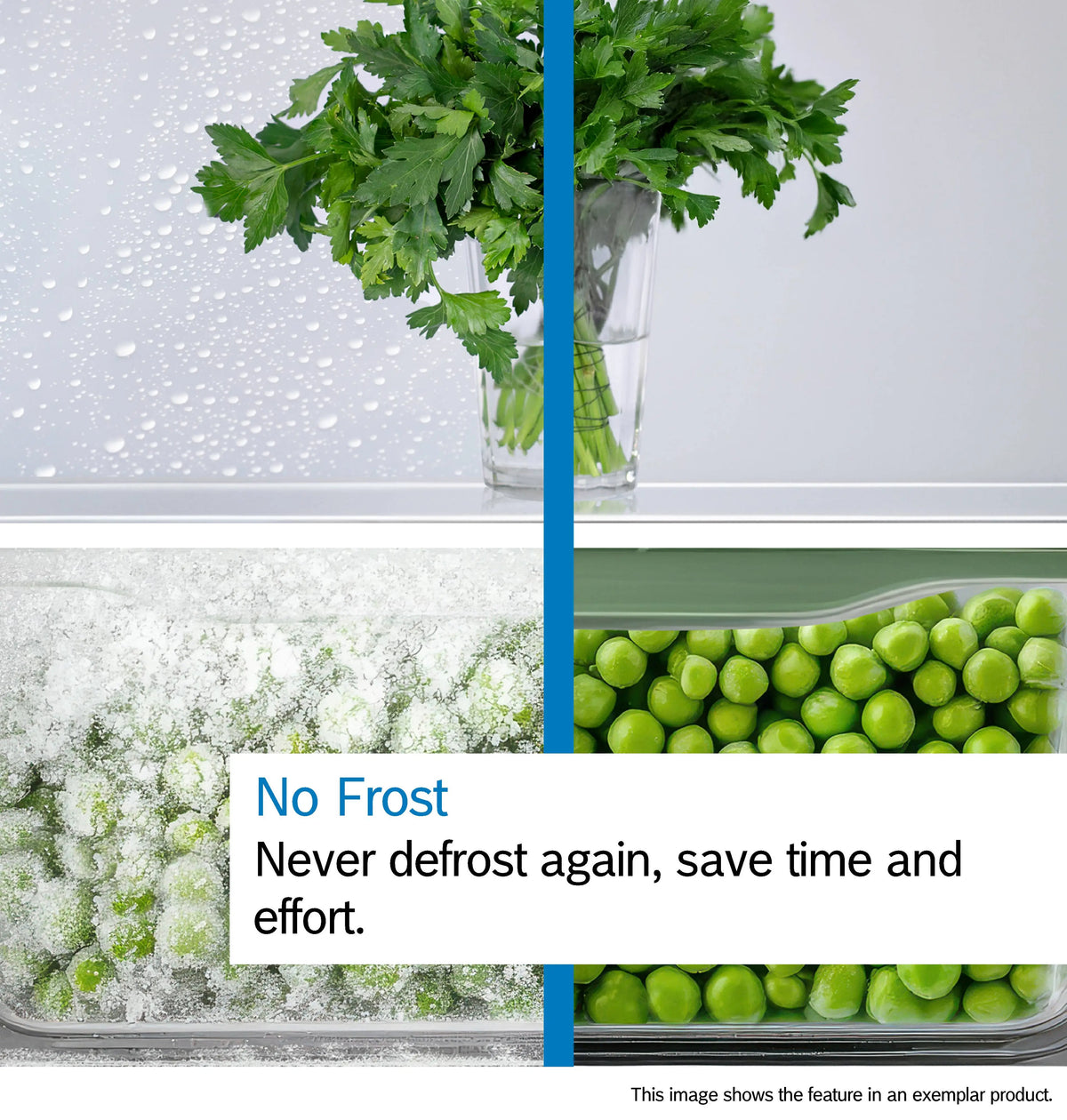 Series 4 Freestanding Fridge Freezer | 203cm (H) | Cast Iron