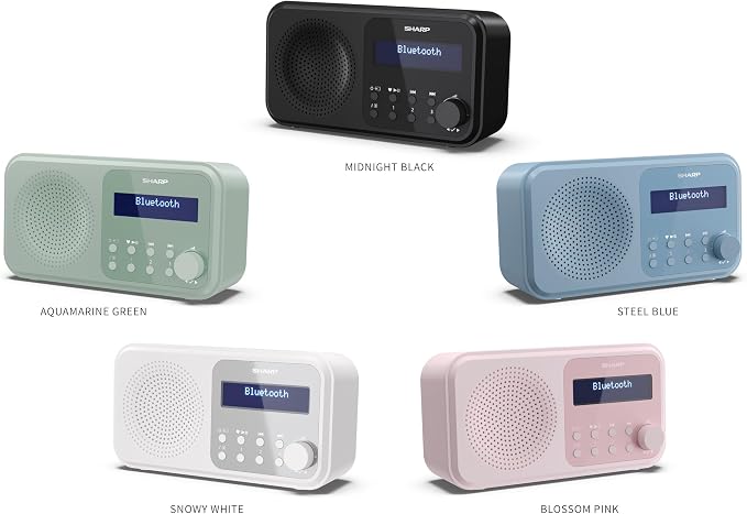 Tokyo Portable DAB Radio with Bluetooth Black
