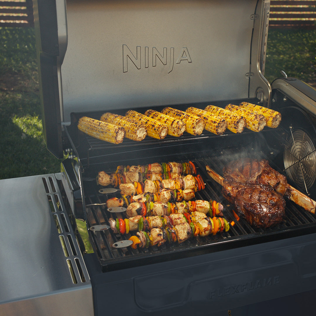 FlexFlame Outdoor Cooking System 5-in-1 Grill & Smoker | Blue