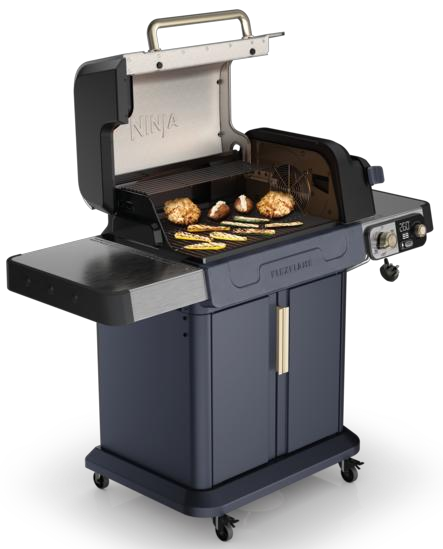 Ninja FlexFlame Outdoor Cooking System 5-in-1 Grill & Smoker | Blue - PG301UKBL Redmond Electric Gorey
