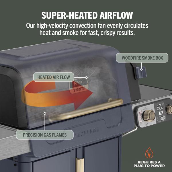 FlexFlame Outdoor Cooking System 5-in-1 Grill & Smoker | Blue