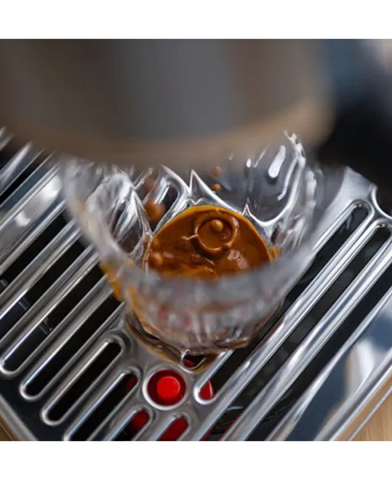 Sage The Bambino™ Plus Espresso Coffee Machine | Black Truffle SES500BTR4GUK1 Redmond Electric Gorey