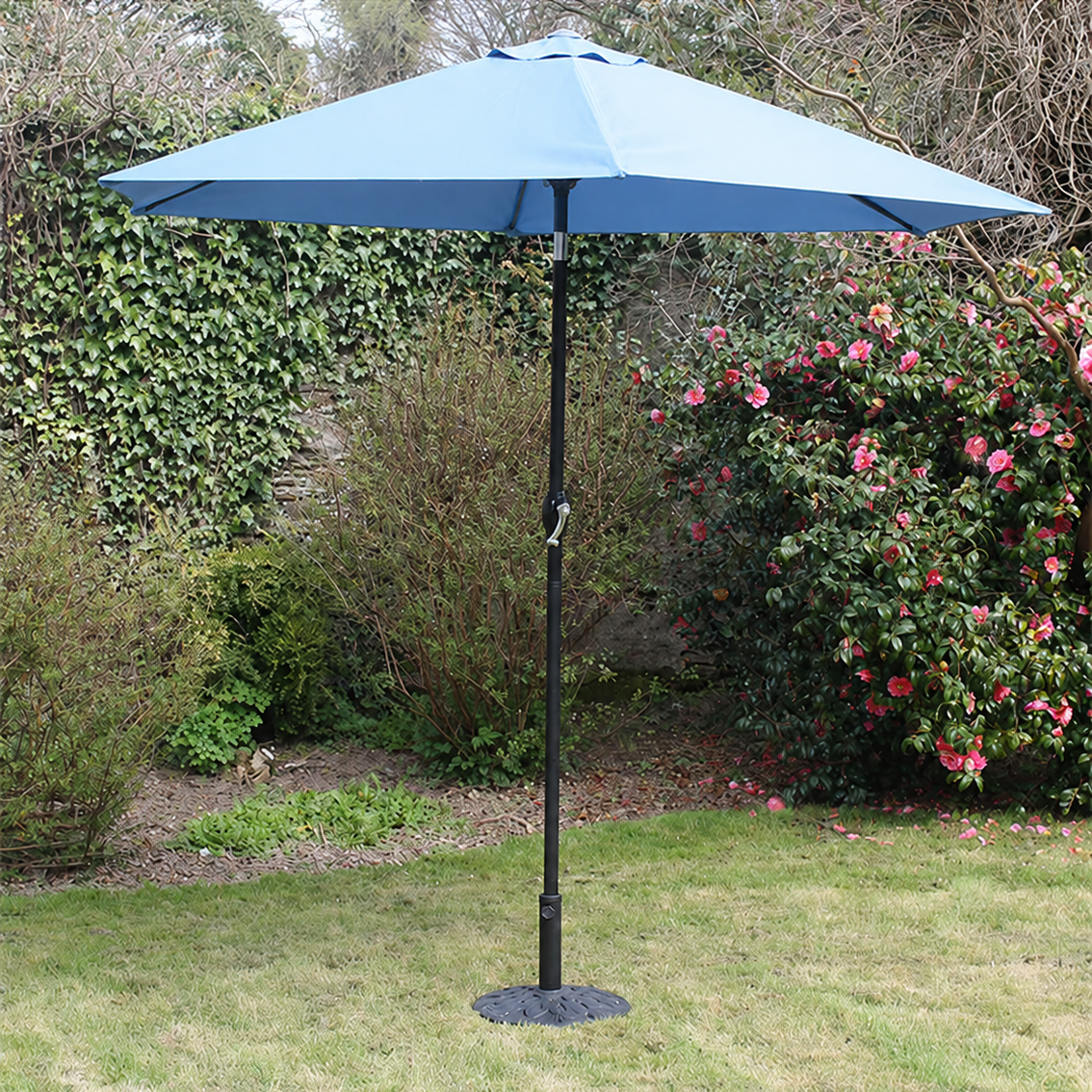 umbrella