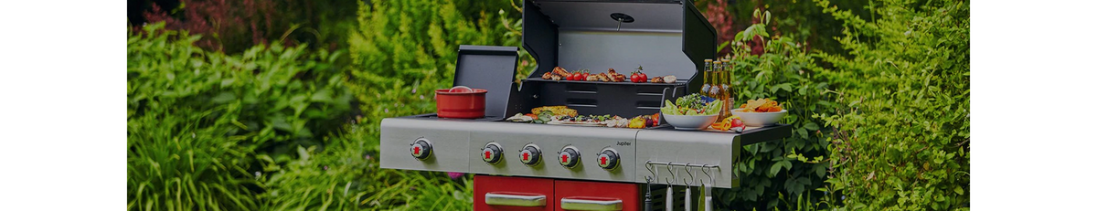 Shop Barbecues Online in Ireland 2022