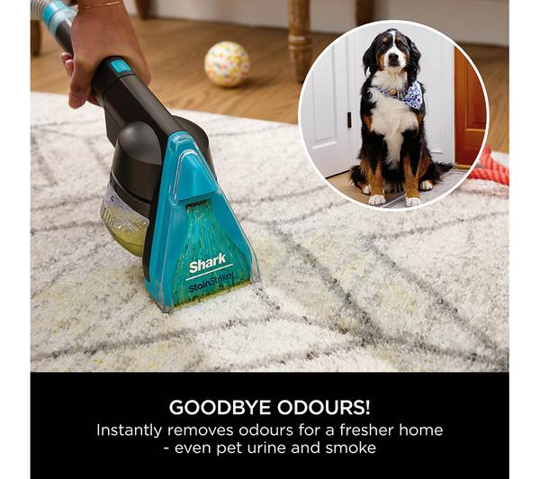 CarpetXpert HairPro Pet Deep Carpet Cleaner with Built-In StainStriker