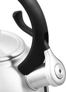 Cami 1.9L Whistling Kettle Stainless Steel