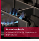 N 70 60cm 4 Burner Gas Hob Stainless Steel