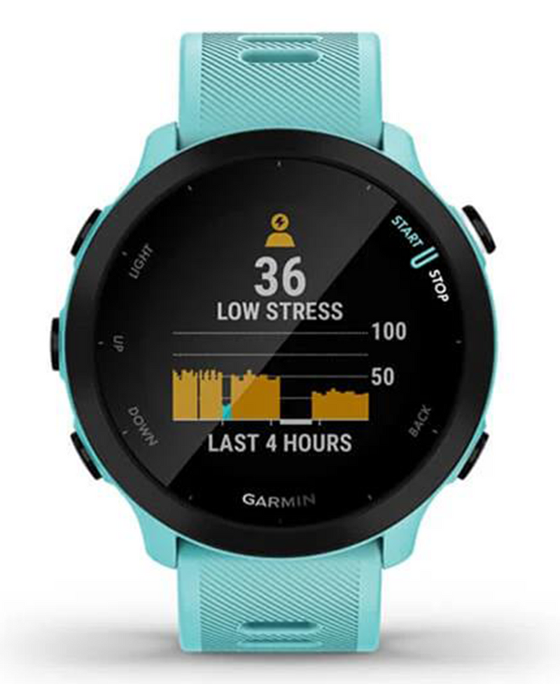 Garmin Garmin Forerunner 55 Smart Watch Aqua 49 GAR 010 02562 12