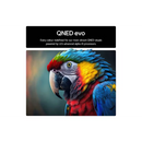 50" QNED Evo AI QNED87 MiniLED 4k Smart TV