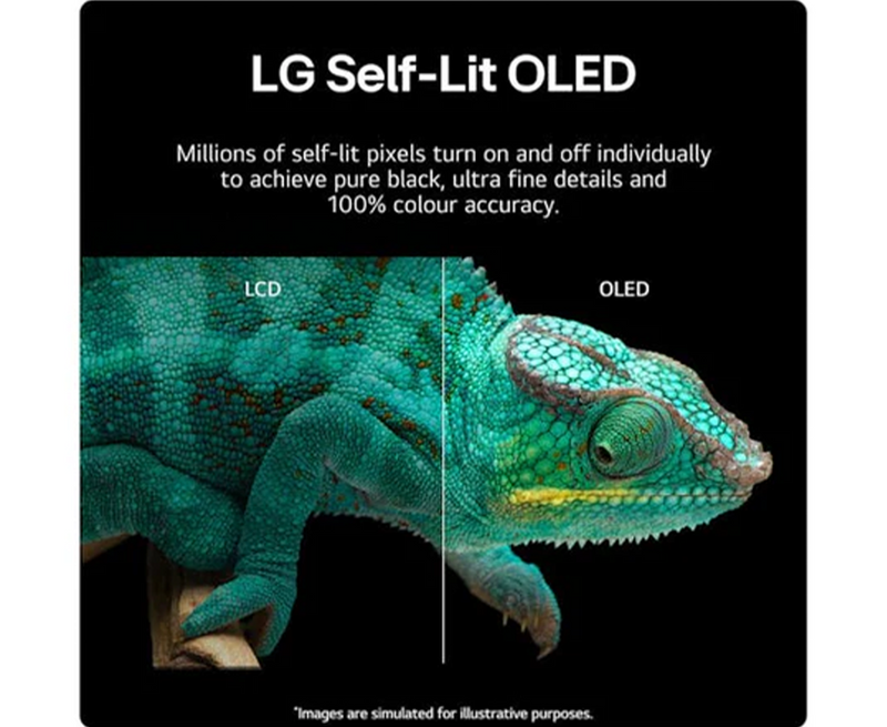 65" B46 OLED 4K Smart TV - Display Model Only