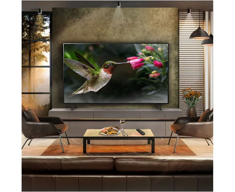 65" B46 OLED 4K Smart TV - Display Model Only