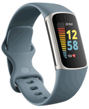Fitbit Charge 5 | Steel Blue & Platinum