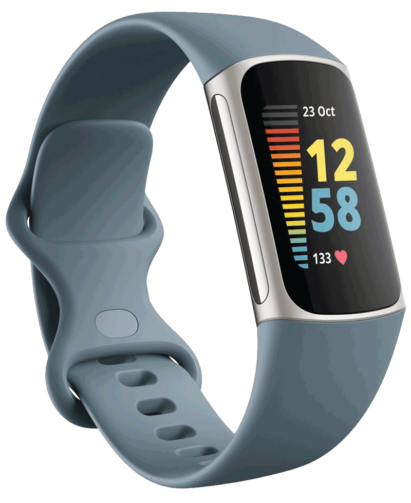 Fitbit Charge 5 | Steel Blue & Platinum