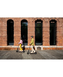 Segway Ninebot E2 D II eKick Scooter | Black - KICKE2DII Redmond Electric Gorey