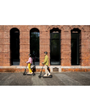 Segway Ninebot E2 Pro D eKick Scooter | Black - KICKE2PROD Redmond Electric Gorey