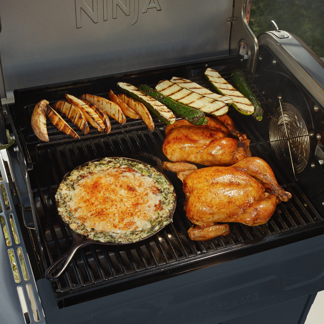 FlexFlame Outdoor Cooking System 5-in-1 Grill & Smoker | Blue