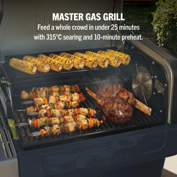 Ninja FlexFlame Outdoor Cooking System 5-in-1 Grill & Smoker | Blue - PG301UKBL Redmond Electric Gorey