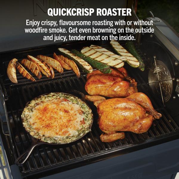 Ninja FlexFlame Outdoor Cooking System 5-in-1 Grill & Smoker | Blue - PG301UKBL Redmond Electric Gorey