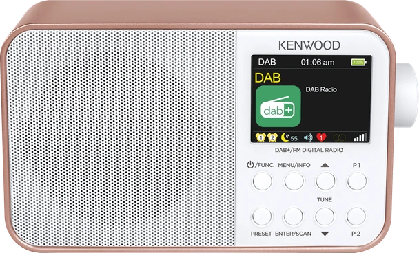 Portable DAB+ Bluetooth Radio Rose Gold