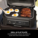 Ninja Woodfire XL Grill & Flat Plate - XSKOGXLGGCMEU Redmond Electric Gorey