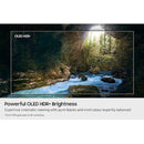 S90F 77 Inch OLED 4K Vision AI Smart TV