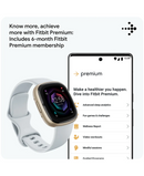 Fitbit Sense 2 Smartwatch | Blue Mist & Soft Gold 79-FB521GLBM Redmond Electric Gorey